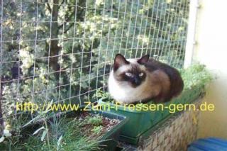 Katzenschutznetze in verschiedenen Ausführungen