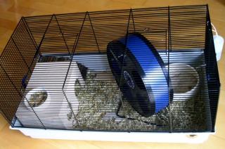VERKAUF Hamsterkäfig ohne Inhalt