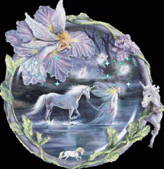 Suche ein Pony