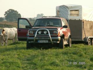 Top Zugpferd Ford-Explorer
