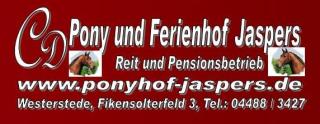 Ferien auf dem Ponyhof