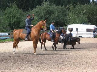 Reiten lernen oder Reitkenntnisse vertiefen