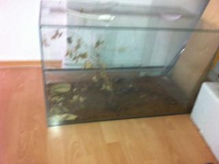 Terrarium 80 Breit guter zustand