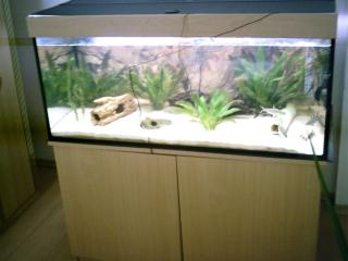Aquarium 350 liter 4 monate Alt Unterschrank, heizung, pumpe, abdeckung 500 Euro