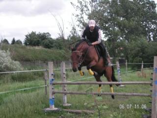 Biete RB an 3 Reitponys in 06420