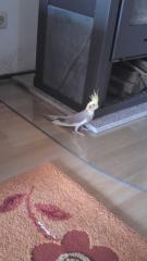 VERMISST