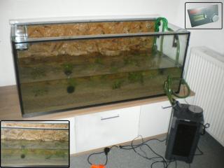 Verkaufe 300 liter Aquarium eheim professional 2 thermo filter