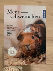 Meerschweinchen Ratgeber, Tierbuch