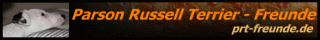 Parson Russell Terrier Freunde - Das Forum für alle Russell-Freunde