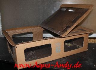 Transportboxen für Kleintiere / Nager wie Ratten, Mäuse, Hamster, Meerschweinche