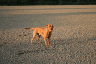 Bruno Sucht nette sie
