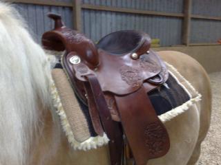 Westernsattel Continental
