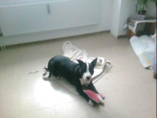 Dringend suche neues zu hause