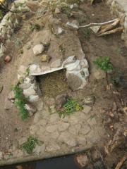 Gesucht europ. Landschildkröte für neue Gruppe