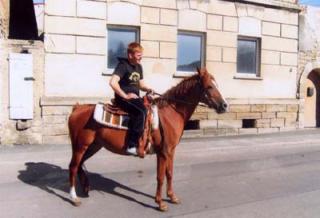 Verkaufe Deutsche Reitponystute