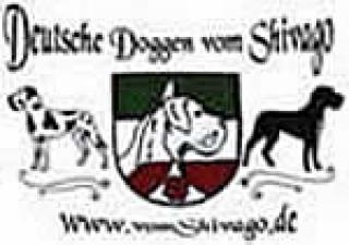 Deutsche Doggen Welpen vom Shivago schwarz gefleckt VDH/ DDC 1888 e. V um den 0