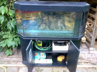 250 l Panoramaaquarium abzugeben