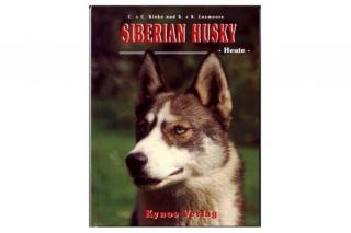 Siberian Husky - Heute - Buch