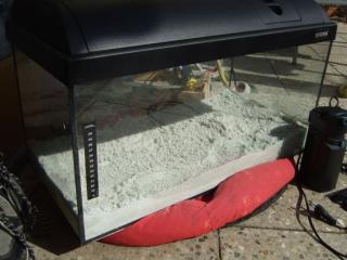 Aquarium 54l, 60x30x30, mit Zubehör