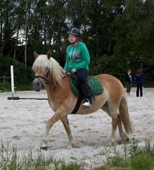 Suche langfristige Reitbeteiligung