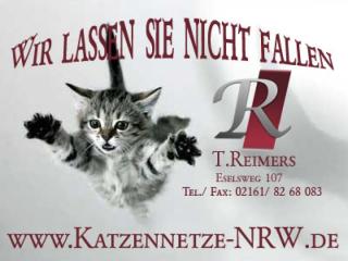 Katzennetz
