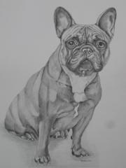Zauberhafte detailgetreue Hundeportraits. die man sich leisten kann