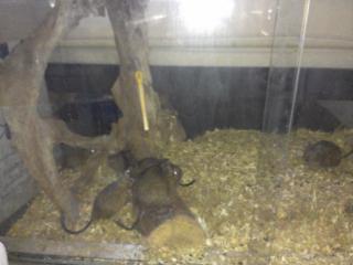 10 Kleine Muntermacher -