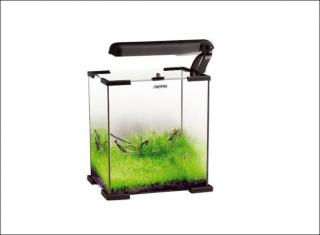 Nano Aquarium 10 Liter von Aquael mit komplettem Zubehör zu verkaufen