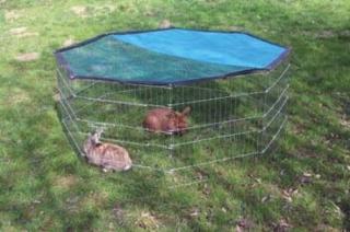 NEU Freigehege 8 eckig für Hasen, Meerschweine. Versand in Deutschland