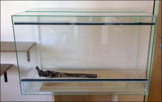 Glasterrarium für Reptilien, Nager- und Kleintiere