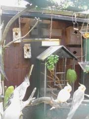 Tierunterkunft Asyl Endplatz