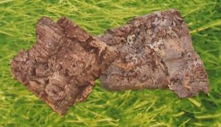 Sitzbrett aus Kork für Wellensittiche, Nymphensittiche und andere Vögel