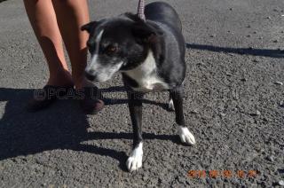 SOFA GESUCHT