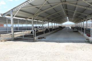 Türkei Milchfarm mit EU Standard, Rinderzucht zu verkaufen