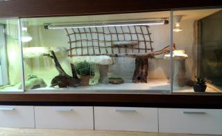 TERRARIUM 200 x 80 x 80 cm