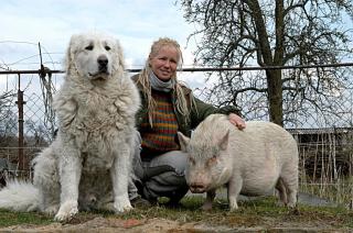 Einsteigerkurse Tierkommunikation