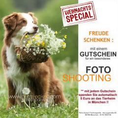 Mit einem Weihnachts-Gutschein zweimal Freude schenken Hundefotograf, Hundefo