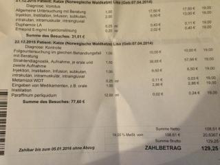 SPENDEN GESUCHT DRINGEND FÜR OP MEINER KATZE