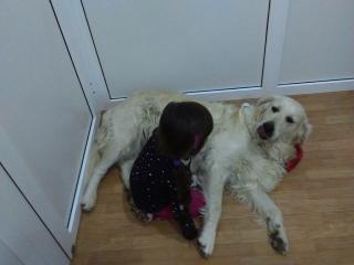 Sally sucht ein neues Zuhause