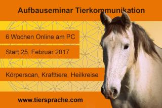 25. 2. 2021 Online-Aufbauseminar Tierkommunikation