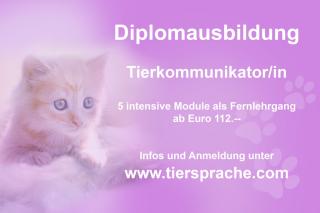 18. 3. 2021 Online-Basisseminar Tierkommunikation
