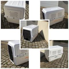 Flugboxen XXXL