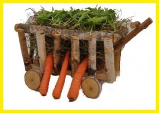 XXL Heuwagen, Futterwagen aus Naturholz Birke für Meerschweinchen, Kaninchen, Kl