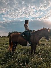 Ich suche eine Reitbeteiligung, Reiter sucht Pferd