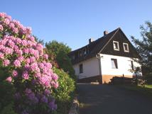 Urlaub mit Hund im Harz