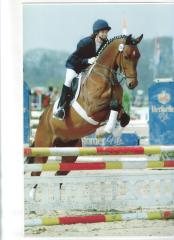 10-Jähriger Oldenburger, Cordial Medoc-Bedora/Landfrieden