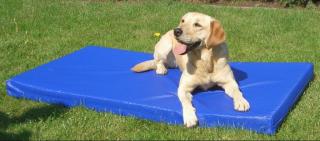 Antiallergische Hundematte, beugt Rheuma vor