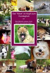 Geschenk unter 20 Euro - Passt ein Hund in unseren Alltag