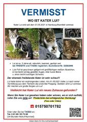 Katze KATER LUI wird gesucht/vermisst