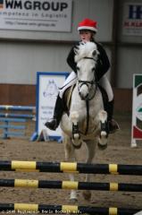 Suche Mietpferd